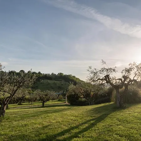 Residenza Il Falchetto Assisi