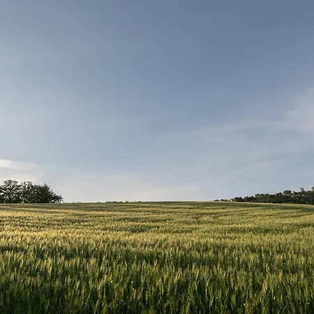 Residenza Il Falchetto Appartamento *